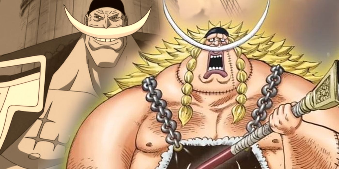 weevil in one piece looking ready to fight with whitebeard smiling in the background in one piece