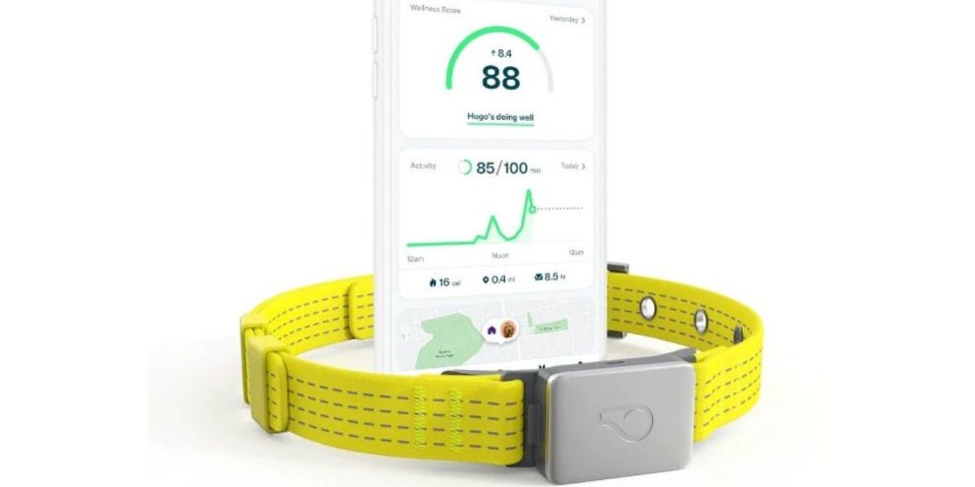 A Whistle health tracker and app is shown