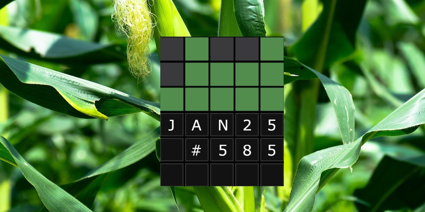 January 25th Wordle grid with Maize in the background