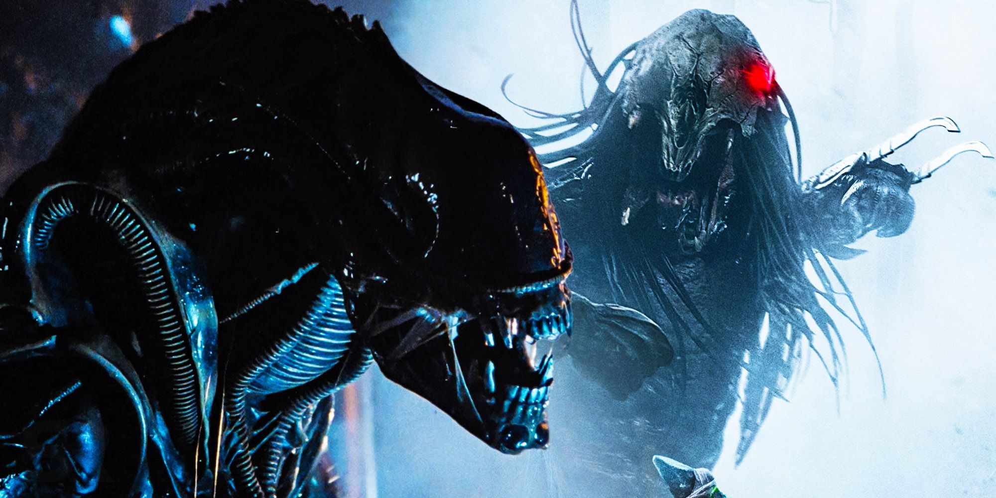 A Xenomorph and the Predator from Prey