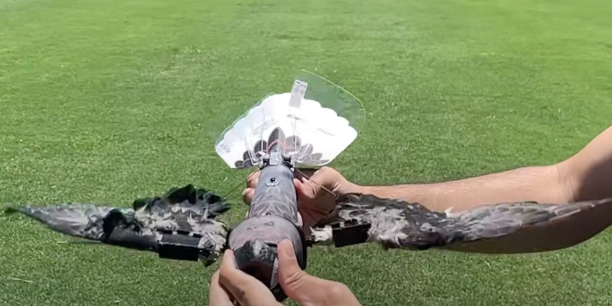 A bird drone held in a person's hand shows some of the internal components, including wing-flapping mechanisms