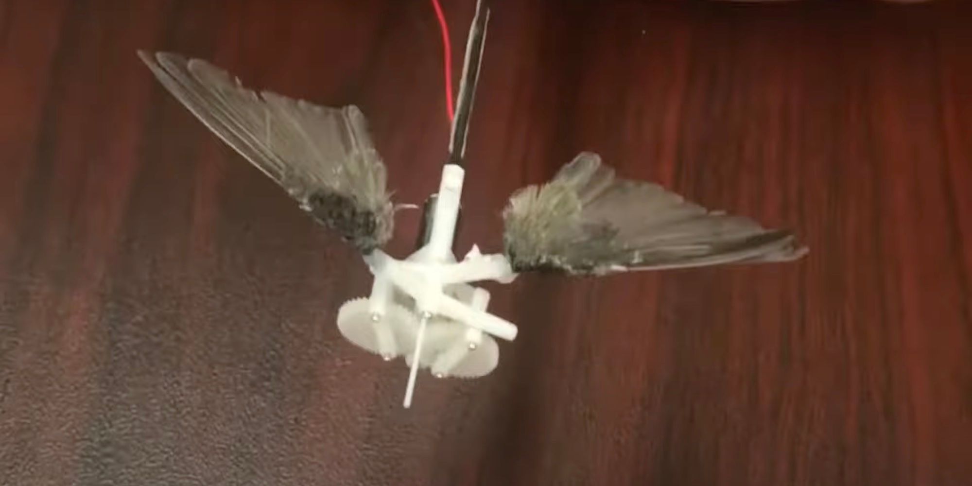 The wing flapping component of a bird drone, featuring just small wings attached to the mechanism