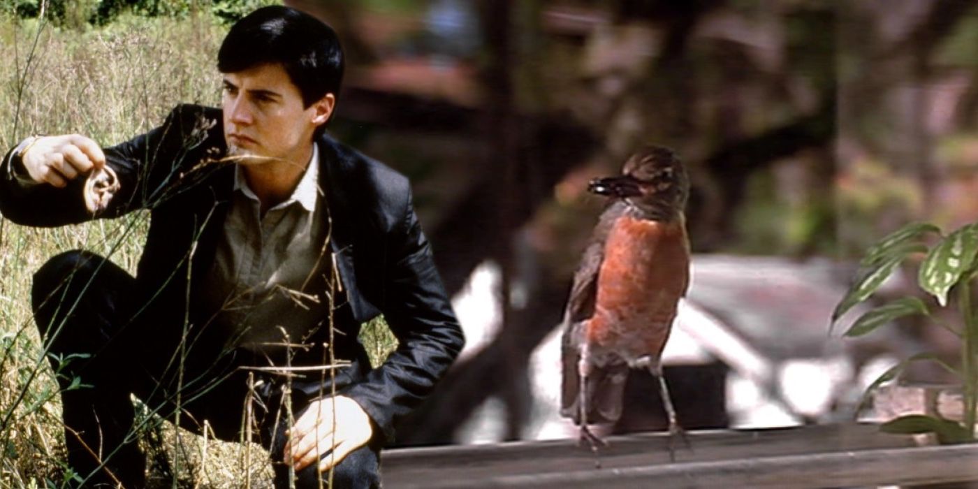 A composite image of Jeffrey holding an ear and a robin from Blue Velvet