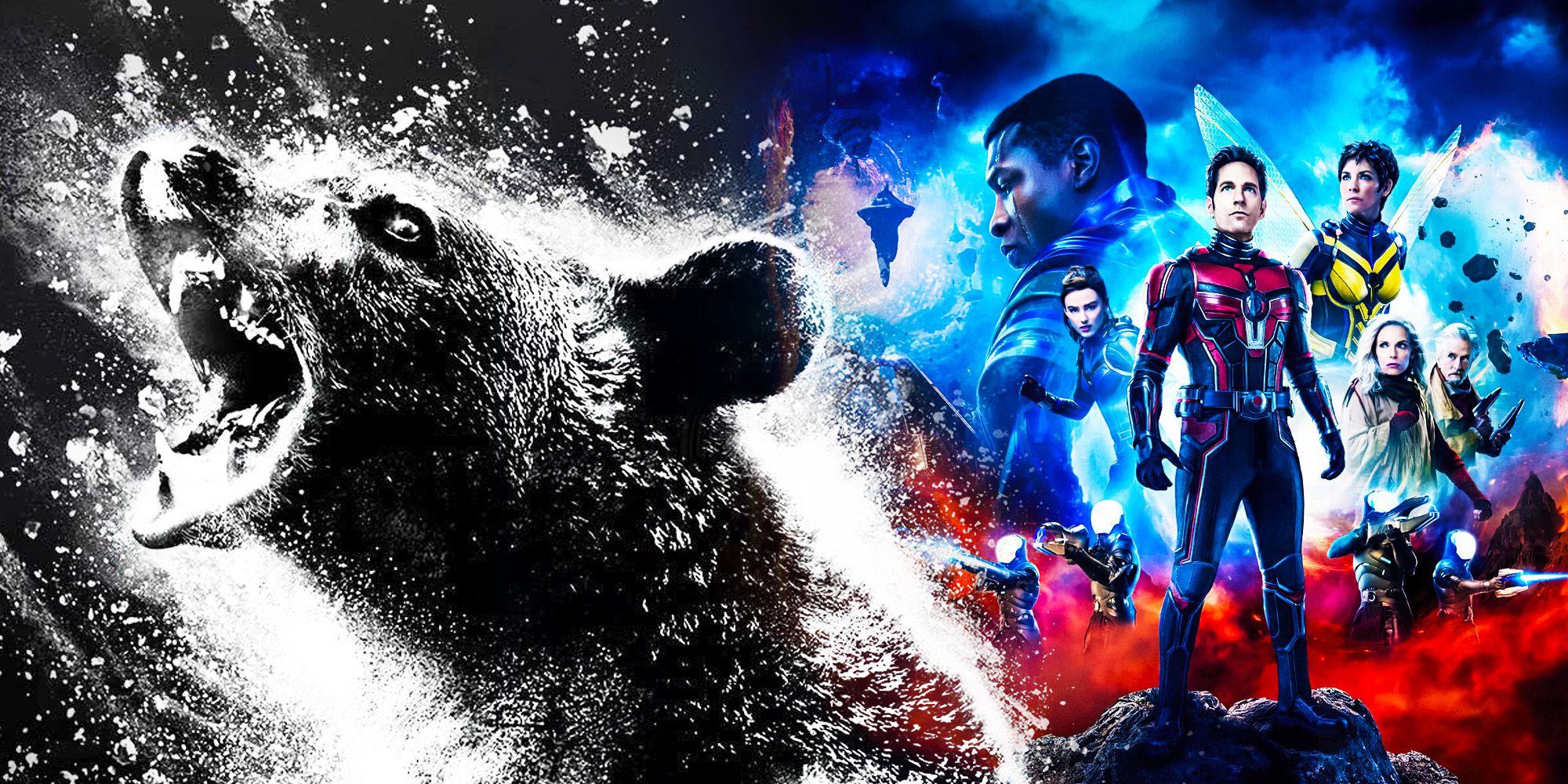 Cocaine Bear' Beats Box Office Expectations, 'Ant-Man 3' Suffers Drop