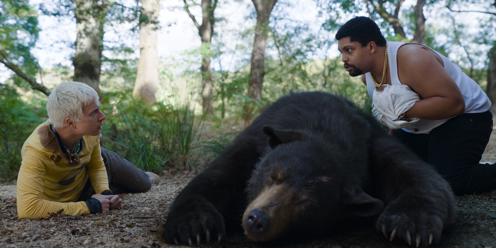 An image of the Cocaine bear lying on the ground 