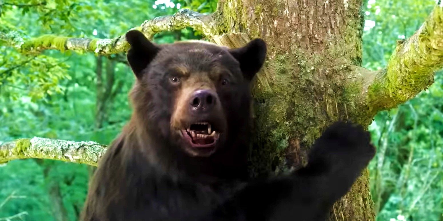 Cocaine Bear climbing up a tree in Cocaine Bear movie