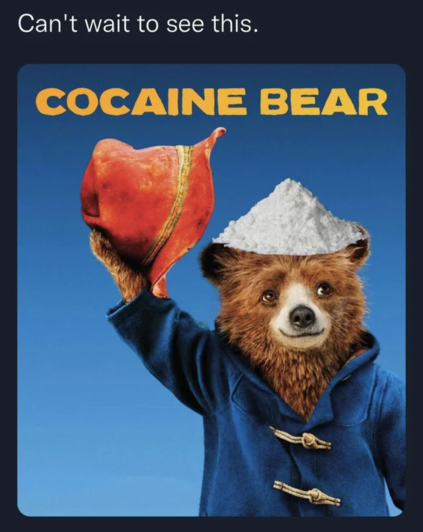 11 Best Cocaine Bear Memes