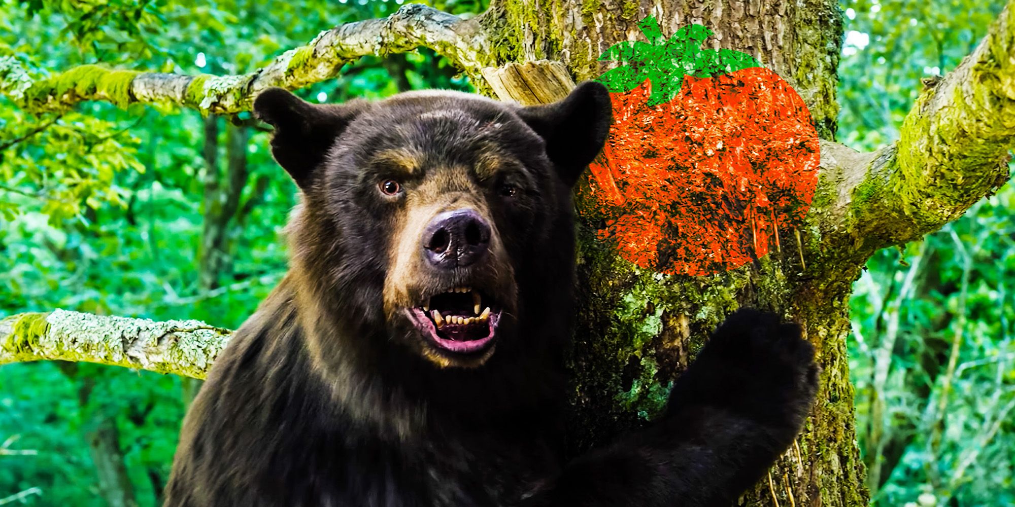 Cocaine Bear Can Rescue A Massive February Rotten Tomatoes Trend