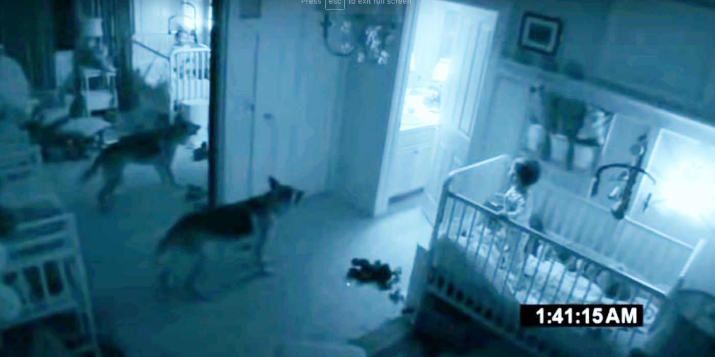 Dogs protecting a baby in Paranormal Activity 2