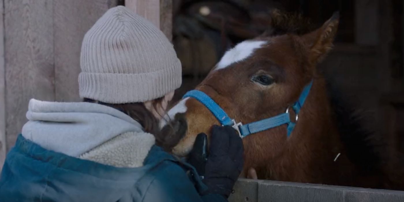 Ellie acariciando o cavalo Shimmer em The Last of Us Episódio 6