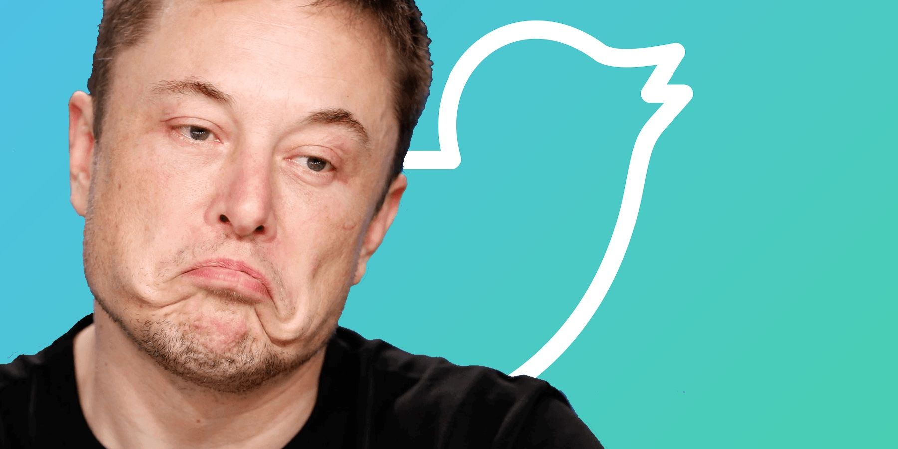 Elon Musk portrait over Twitter background