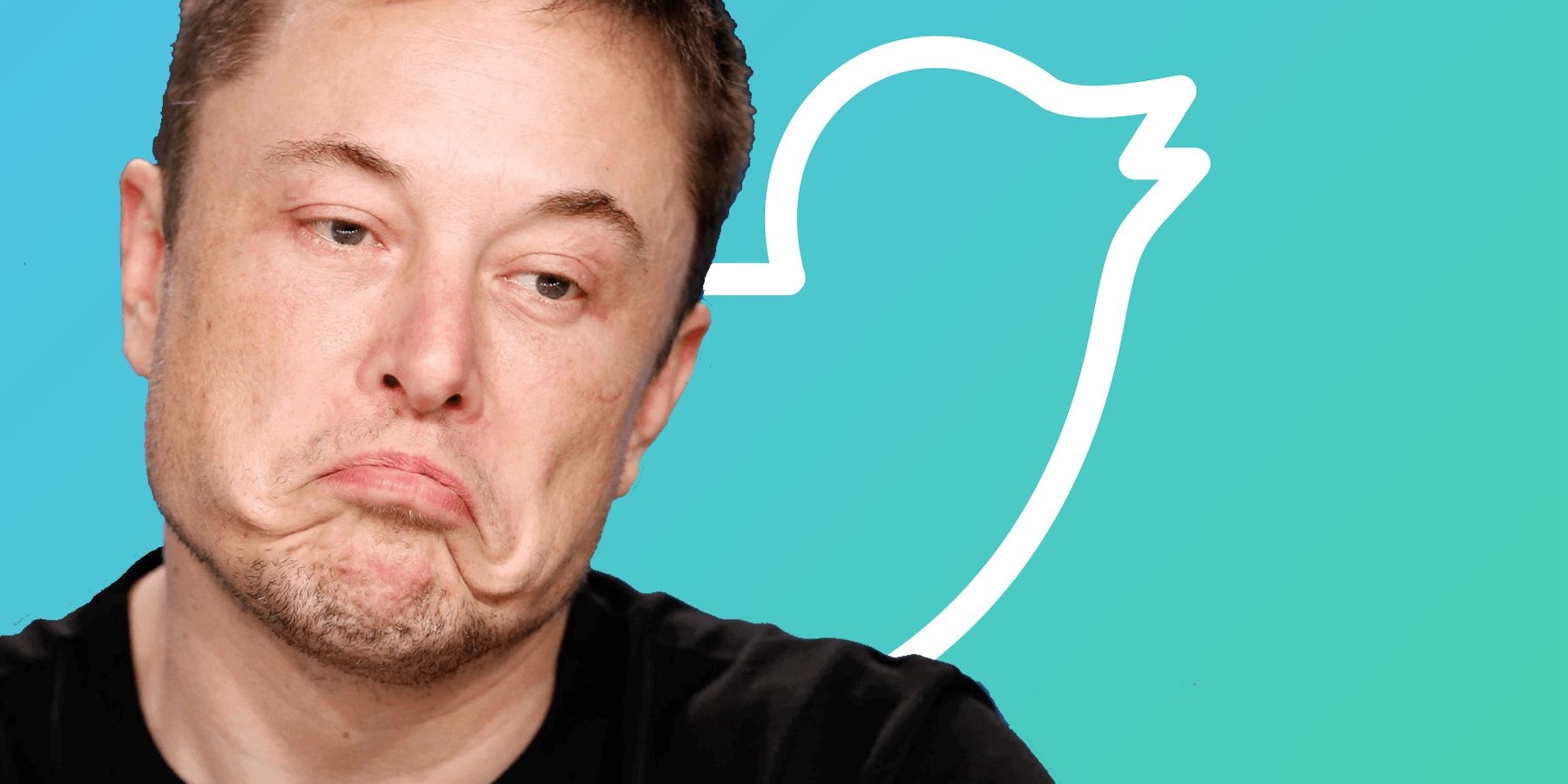 Elon Musk Has Forgotten Twitter Isn't The Product, Its Users Are