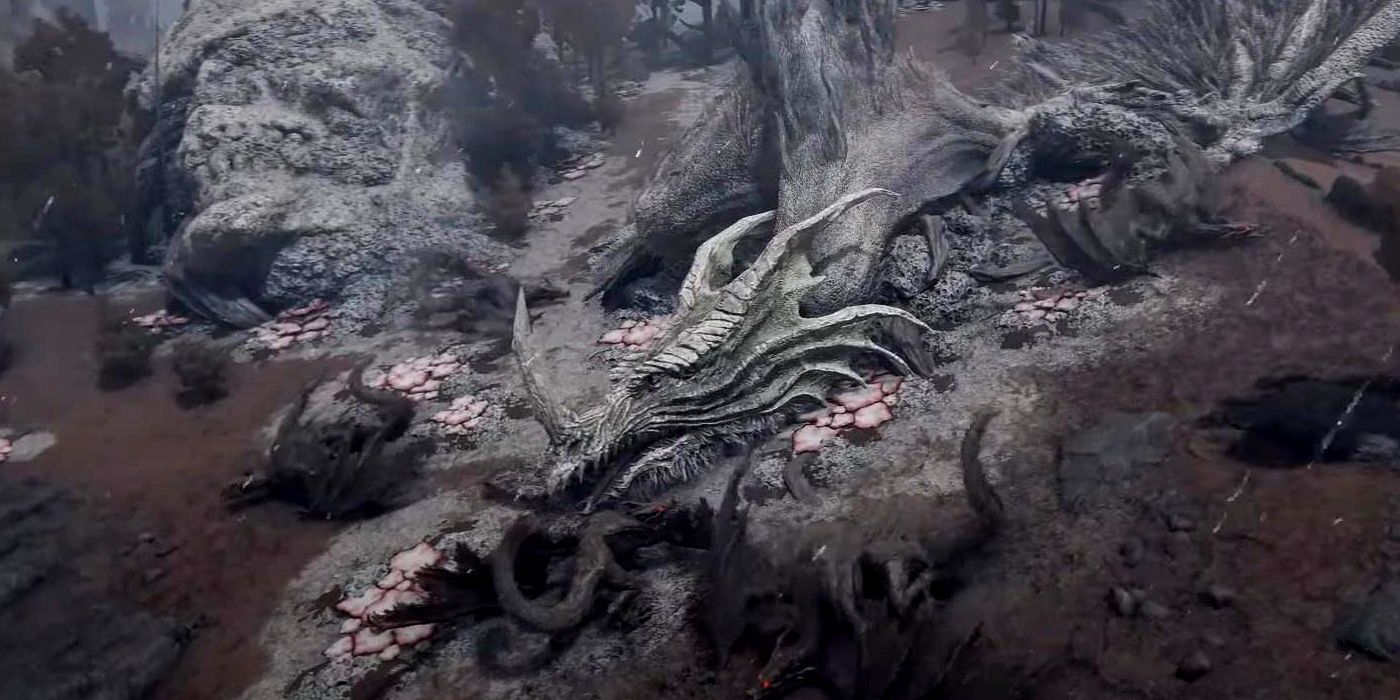 The Big White Dragon Greyoll in Elden Ring. He is dead.