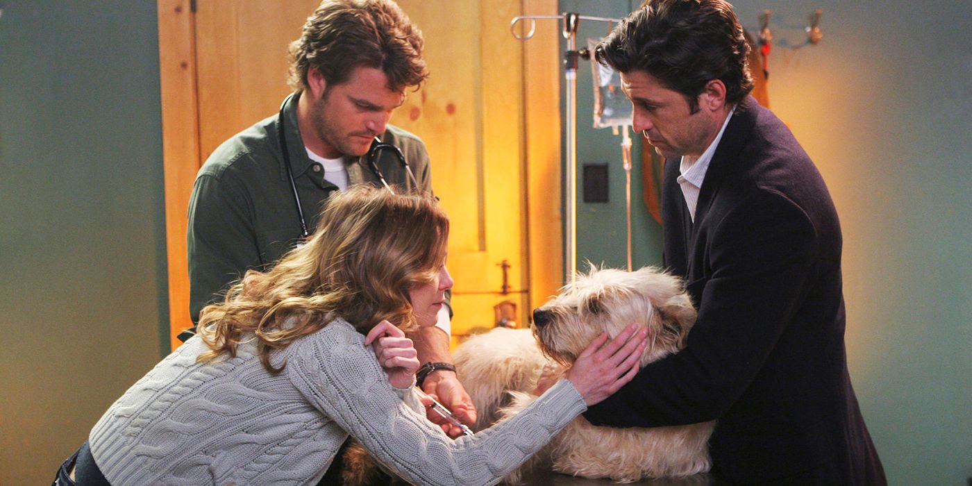 Greys Anatomy Meredith Derek Dog dog