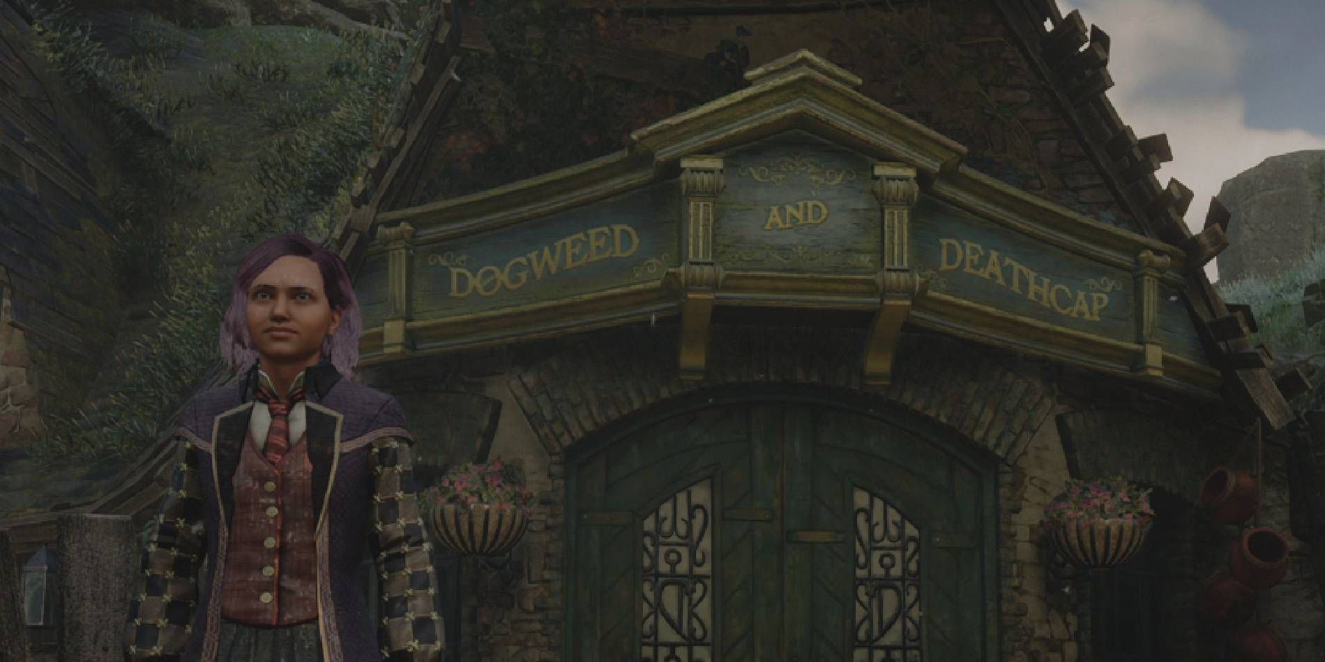 Hogwarts Legacy Dogweed et Deathcap Shop situés dans la section nord de Pré-au-Lard de la carte