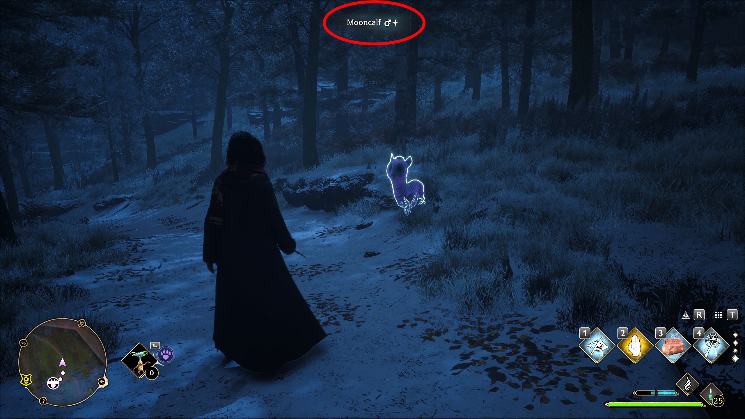 How To Catch Shiny Beasts In Hogwarts Legacy