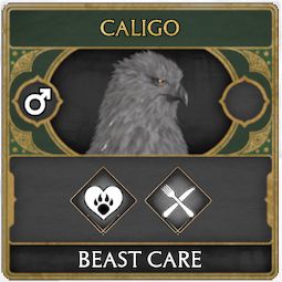 Hogwarts Legacy Hippogriff Onyx Caligo Icon