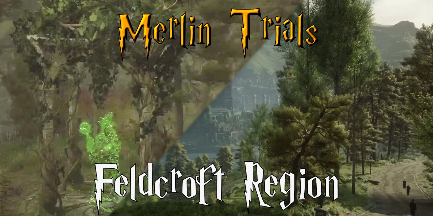 Feldcroft Region Map for Hogwarts Legacy