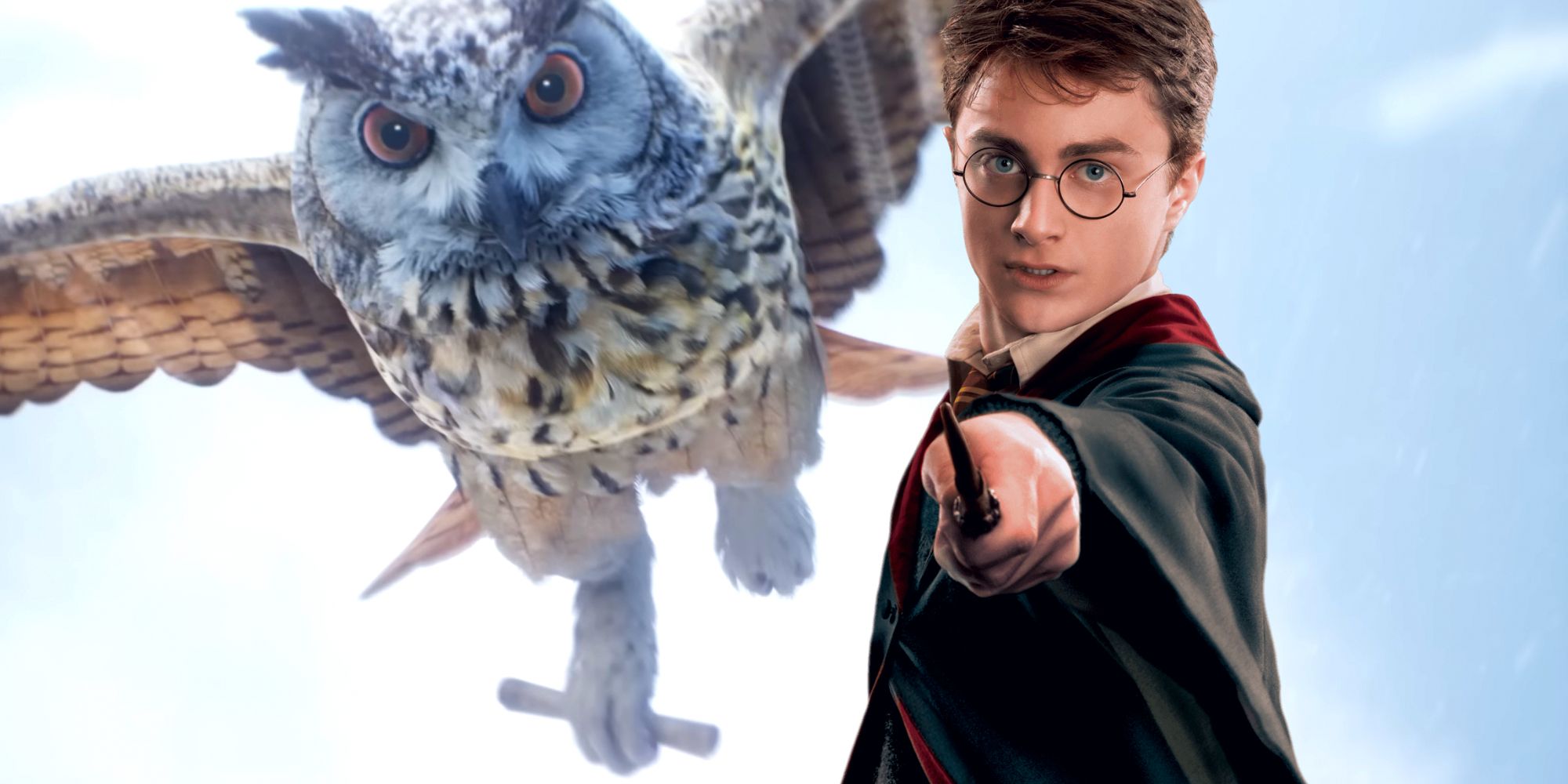 Seeker Harry Potter Would've Hated Hogwarts Legacy