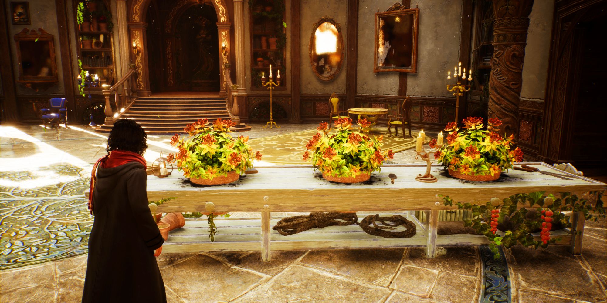 Hogwarts Legacy Player Looking At Flowering Mallowsweet Plants In Room of Requirement