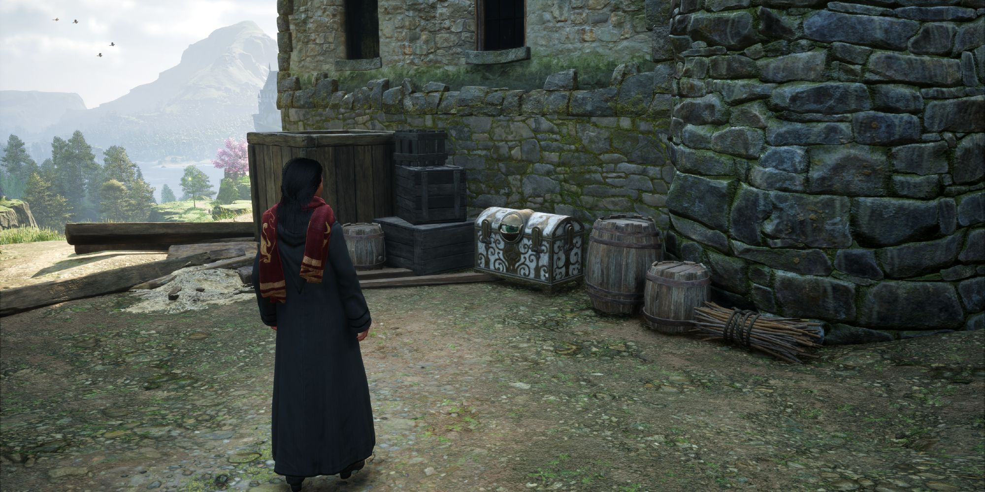 Hogwarts Legacy Player Staring Down Suspicious Eyeball Chest In Hogsmeade