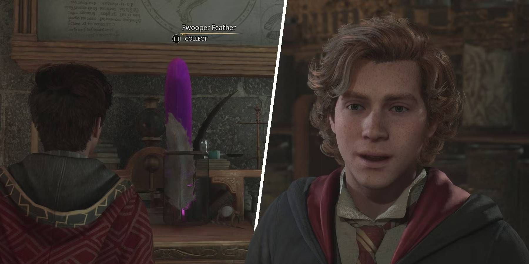 Hogwarts Legacy Fwooper Feather and Garreth Weasley Optional Decision in First Potions Class Main Story Quest