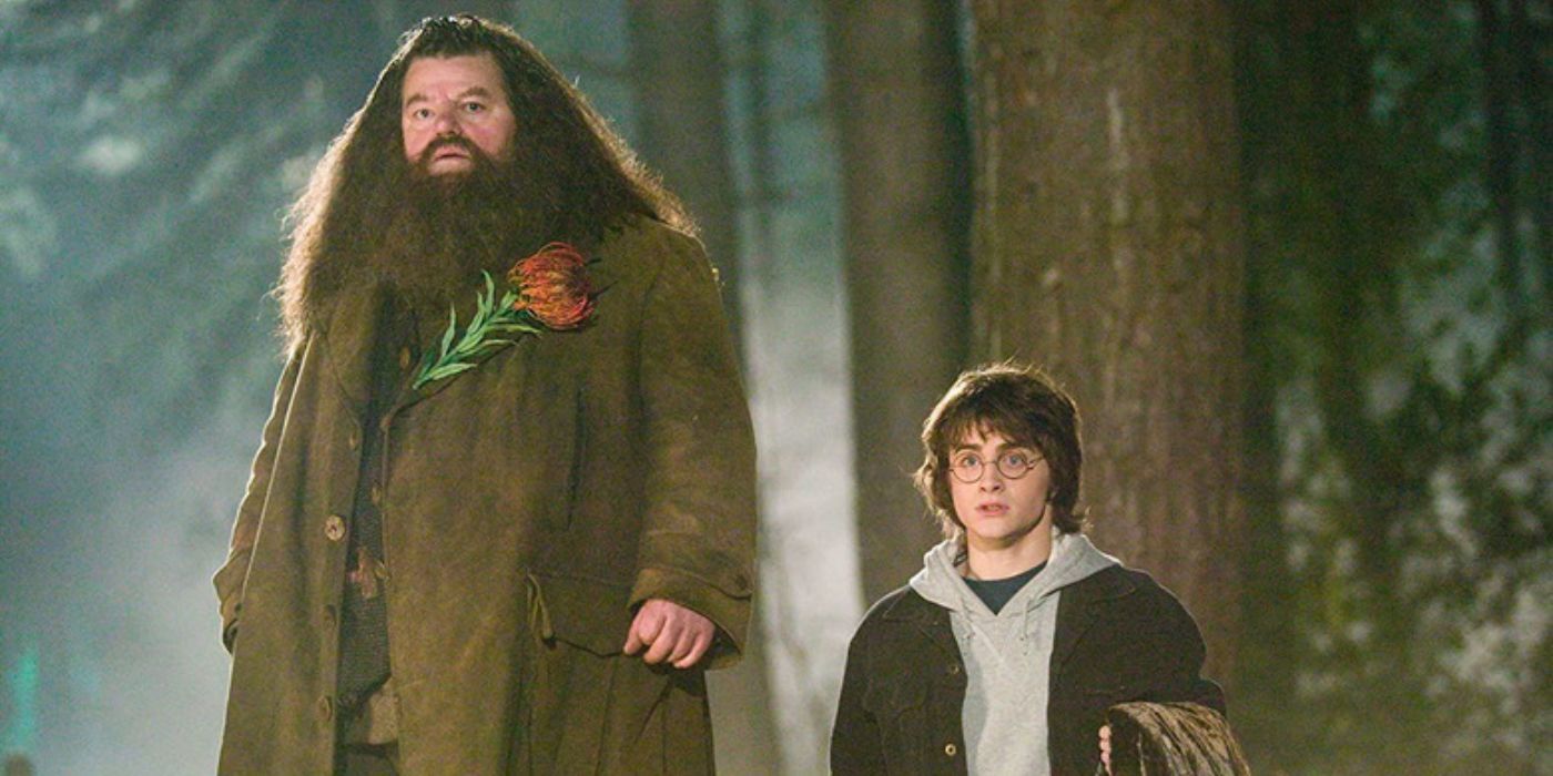 Hagrid e Harry