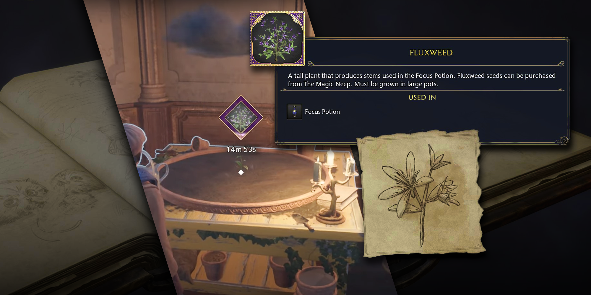 Hogwarts Legacy: Where To Get Fluxweed Stem (Potion Ingredient)