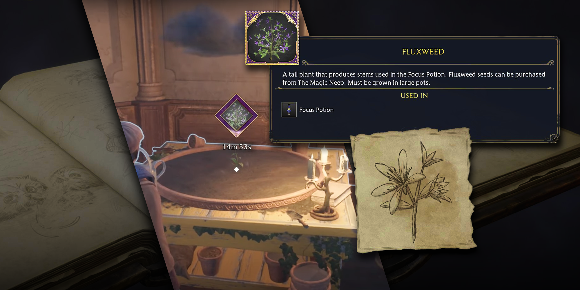 Hogwarts Legacy Potion Guide: Ingredients & Herbology