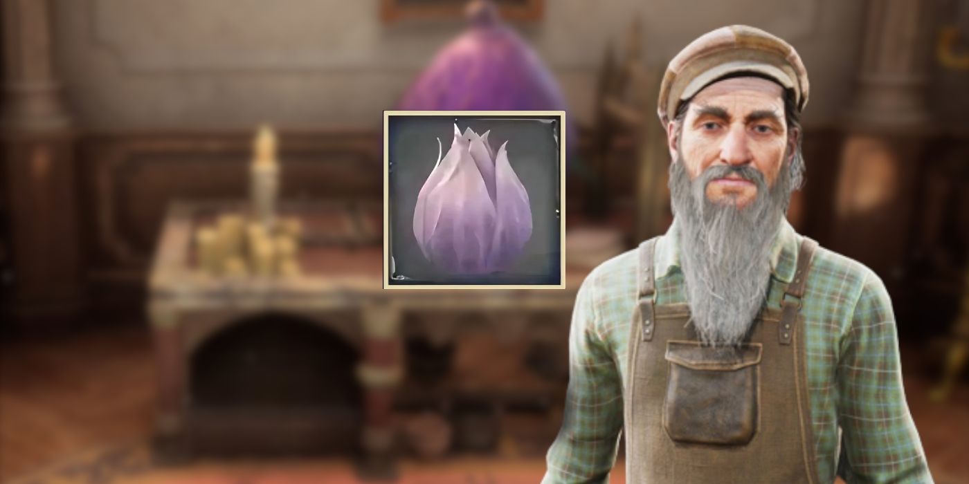 Shrivelfig Fruit Icon with the Magic Neep Vendor In Hogwarts Legacy