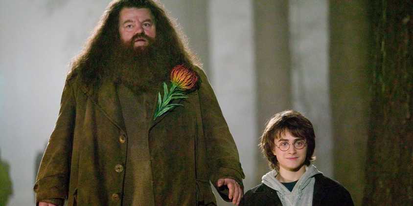 Hagrid (Robbie Coltrane) and Harry Potter (Daniel Radcliffe) next to each other in the Forbidden Forest