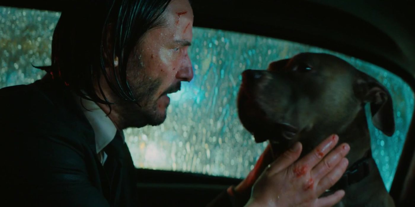 John Wick with his dog