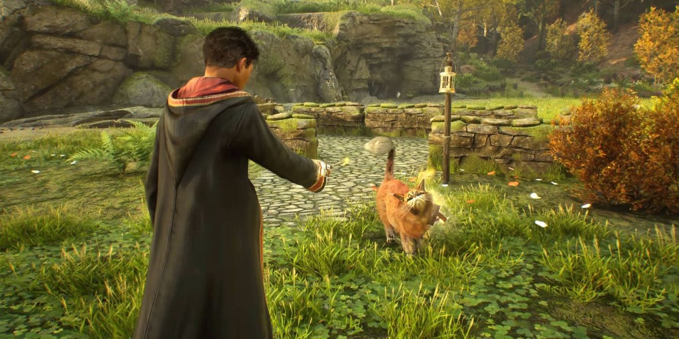 Player Character Magically Brushing A Kneazle (cat) in Hogwarts Legacy
