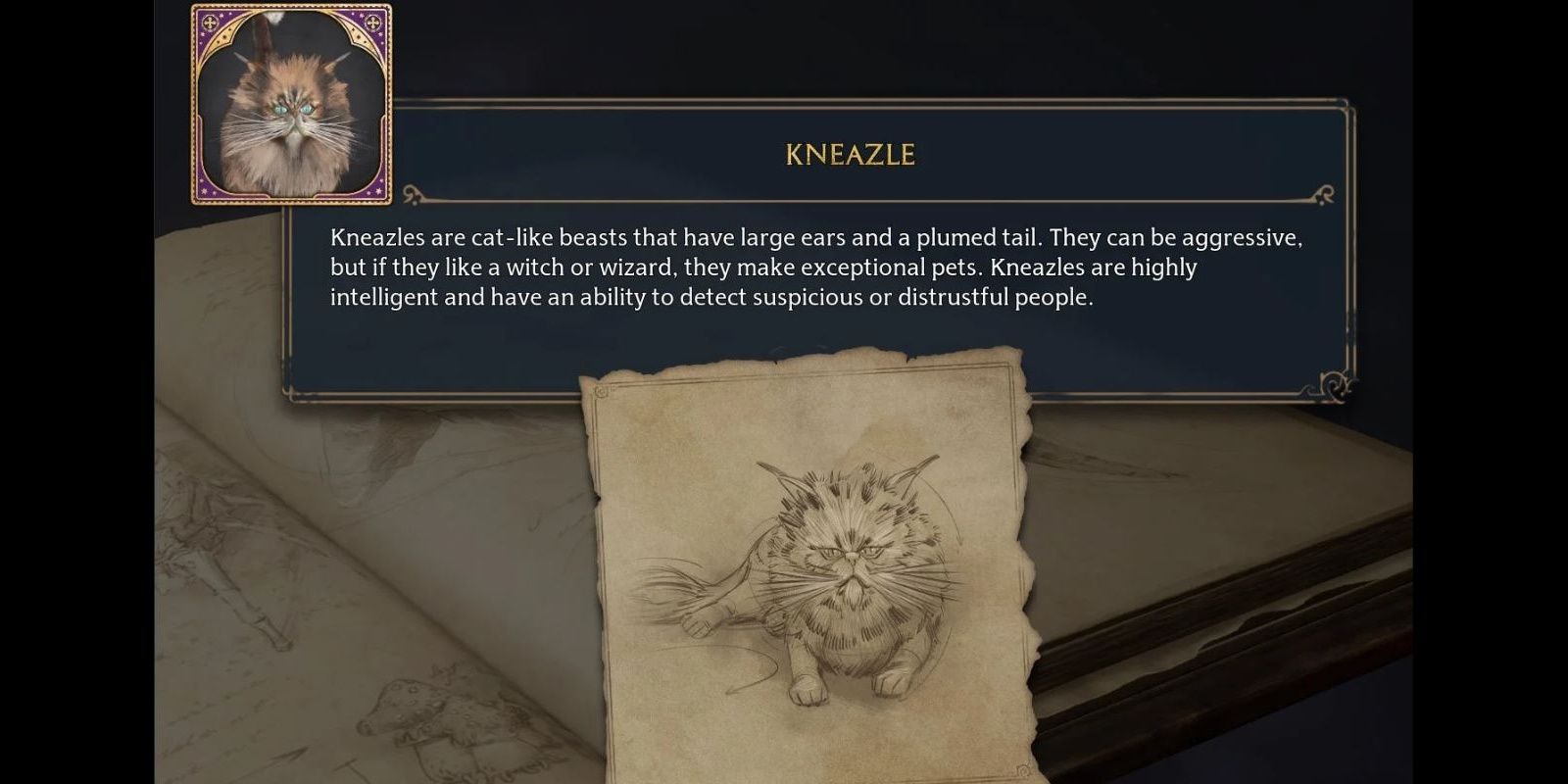 A Fact Page About The Kneazle in Hogwarts Legacy- says "Kneazles are cat-like beasts that have large ears and a plumed tail. They can be aggressive, but if they like a witch or wizard, they make exceptional pets. Kneazles are highly intelligent and have an ability to detect suspicious or distrustful people"