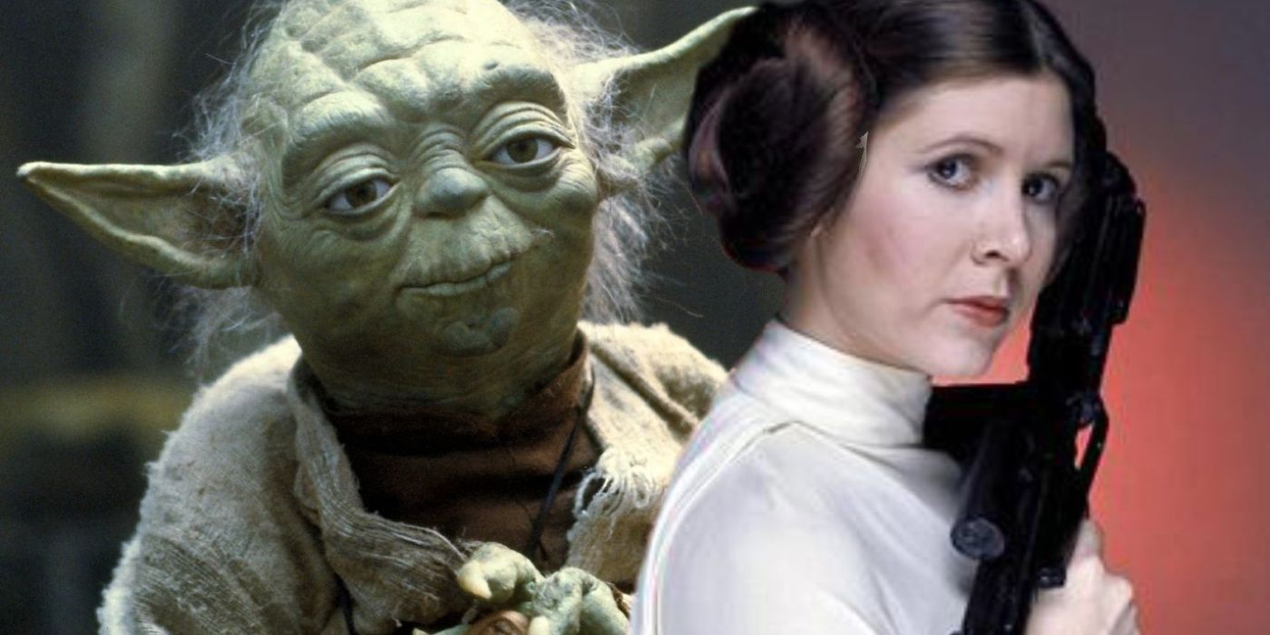 Leia and Yoda from Star Wars.
