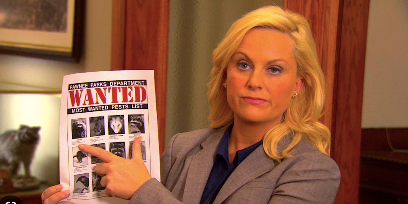 Leslie Knope showing a wanted poster for a possum in Parks and Recreation