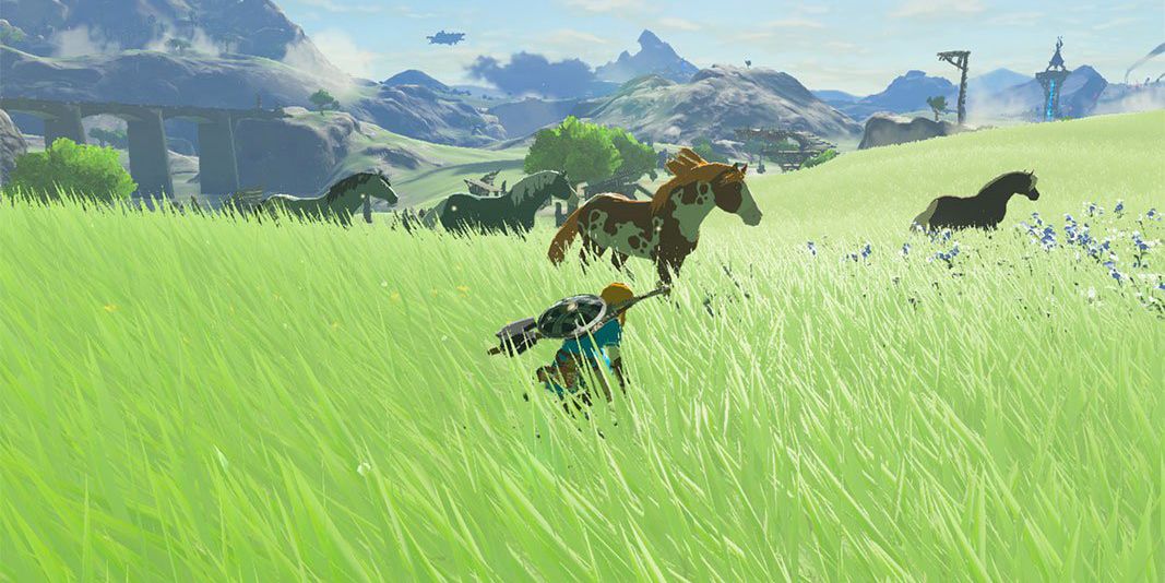 Link sneaks through tall grass toward a group of four wild horses in The Legend of Zelda: Breath of the Wild.