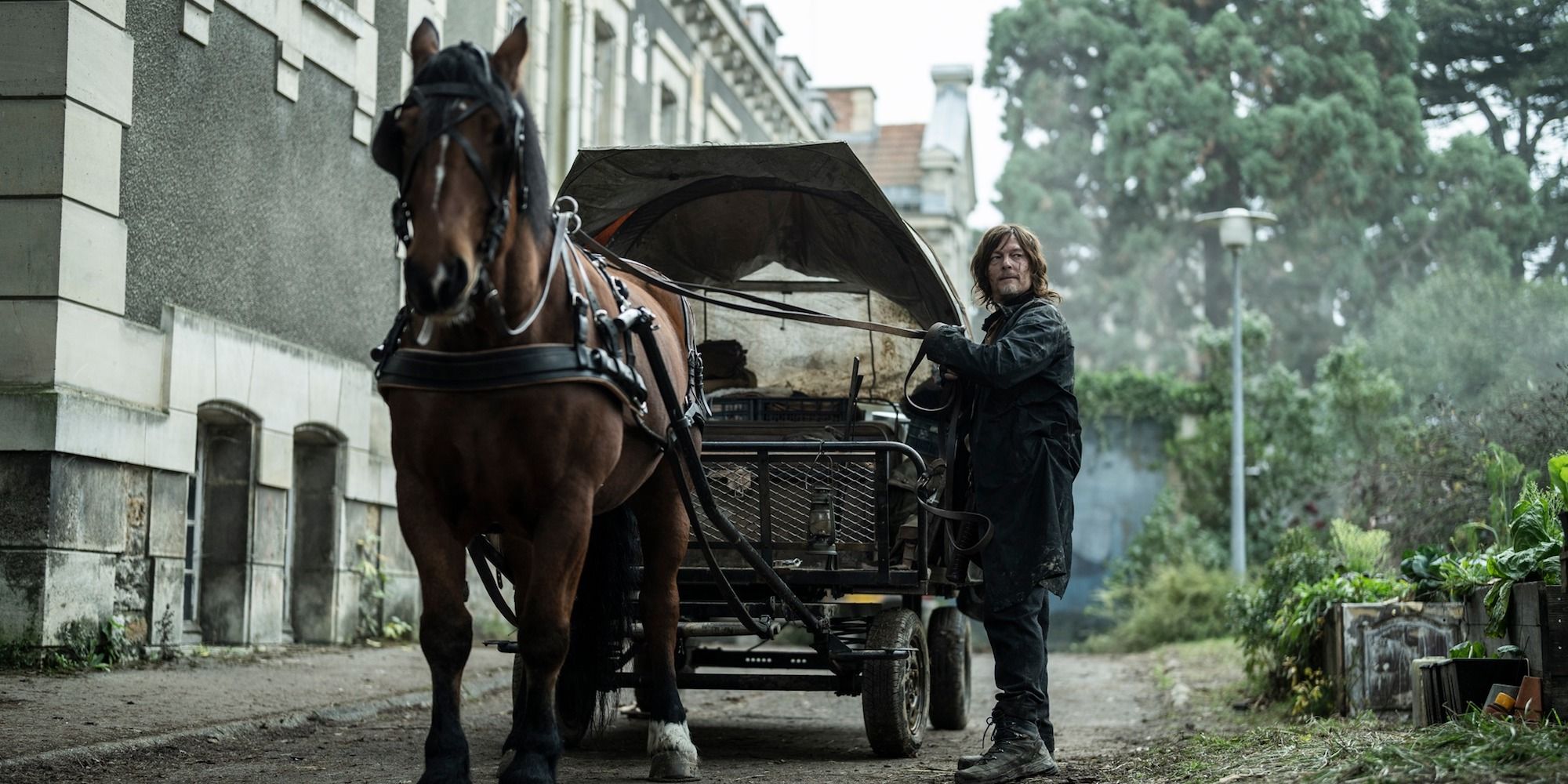 Norman Reedus as Daryl Dixon with a Horse Drawn Carriage in The Walking Dead Daryl Dixon