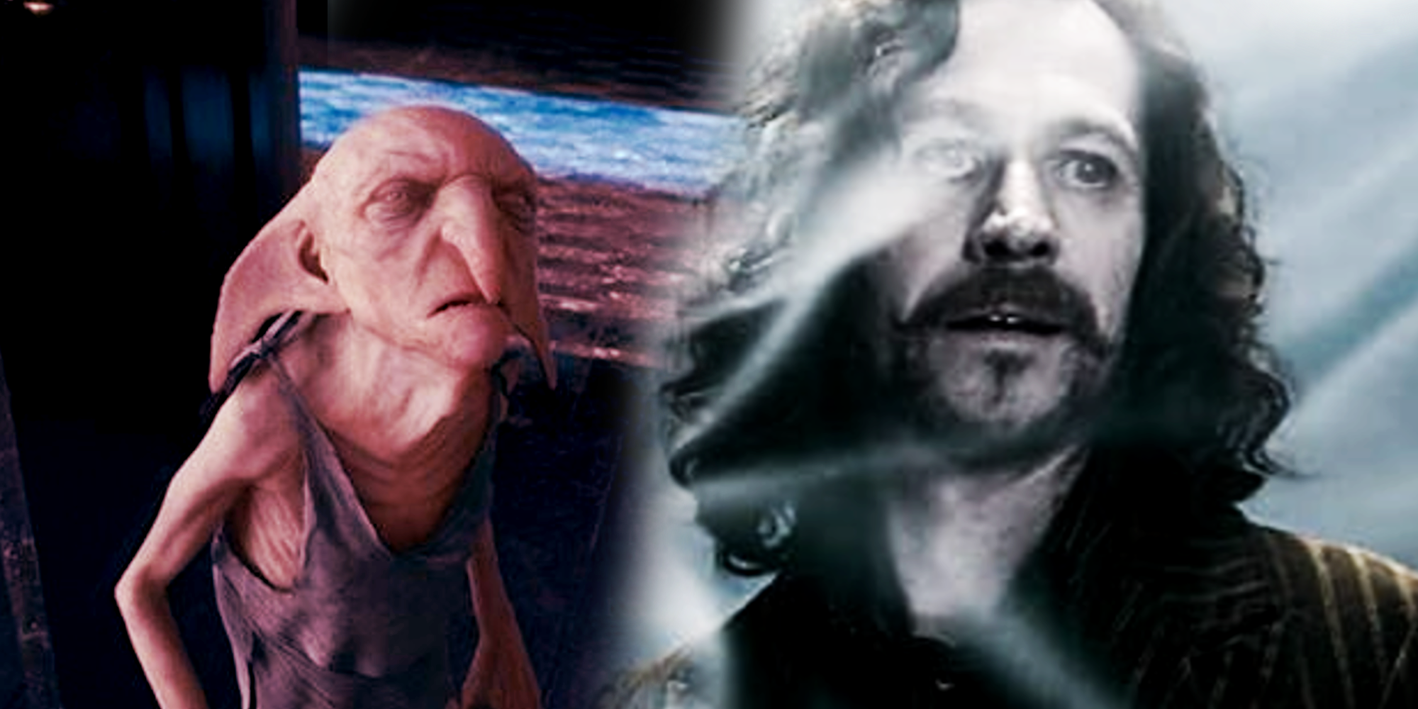 Sirius Black And Kreacher Harry Potter