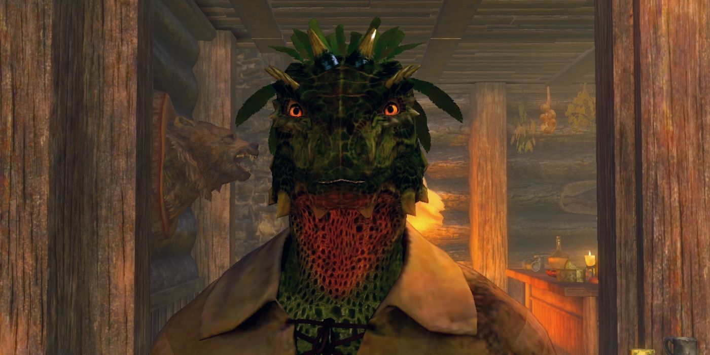 A close-up shot of Talen-Jei from Skyrim in a Nexus Mod.