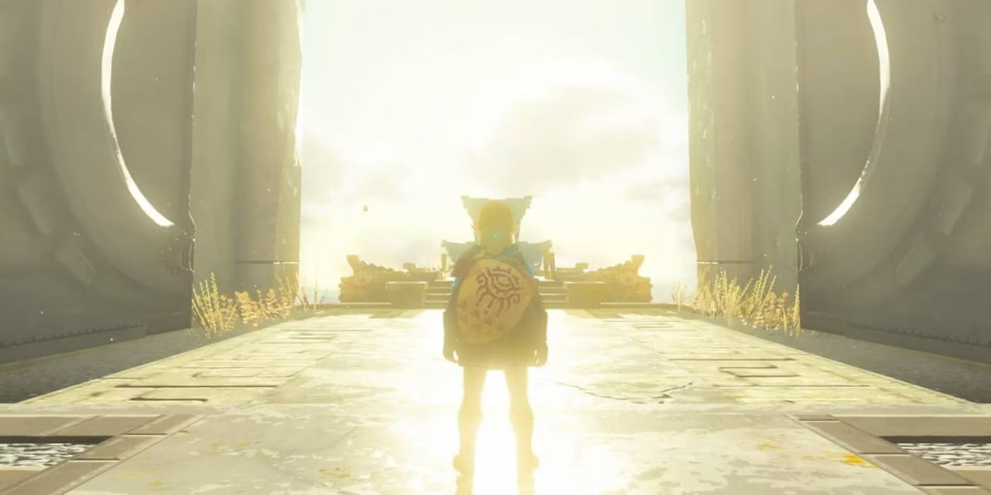 Zelda Tears of the Kingdom Link opens the door with the Ouroboros symbol on it