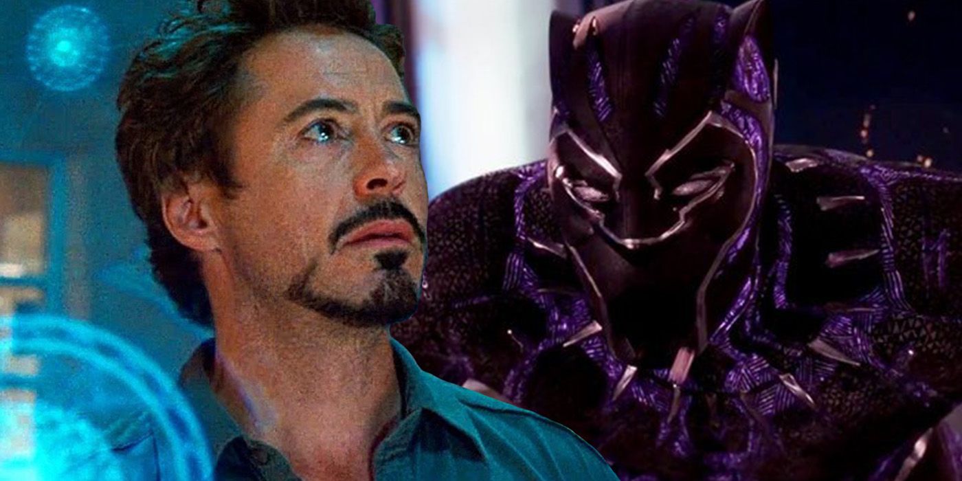 tony stark and the black panther in the mcu