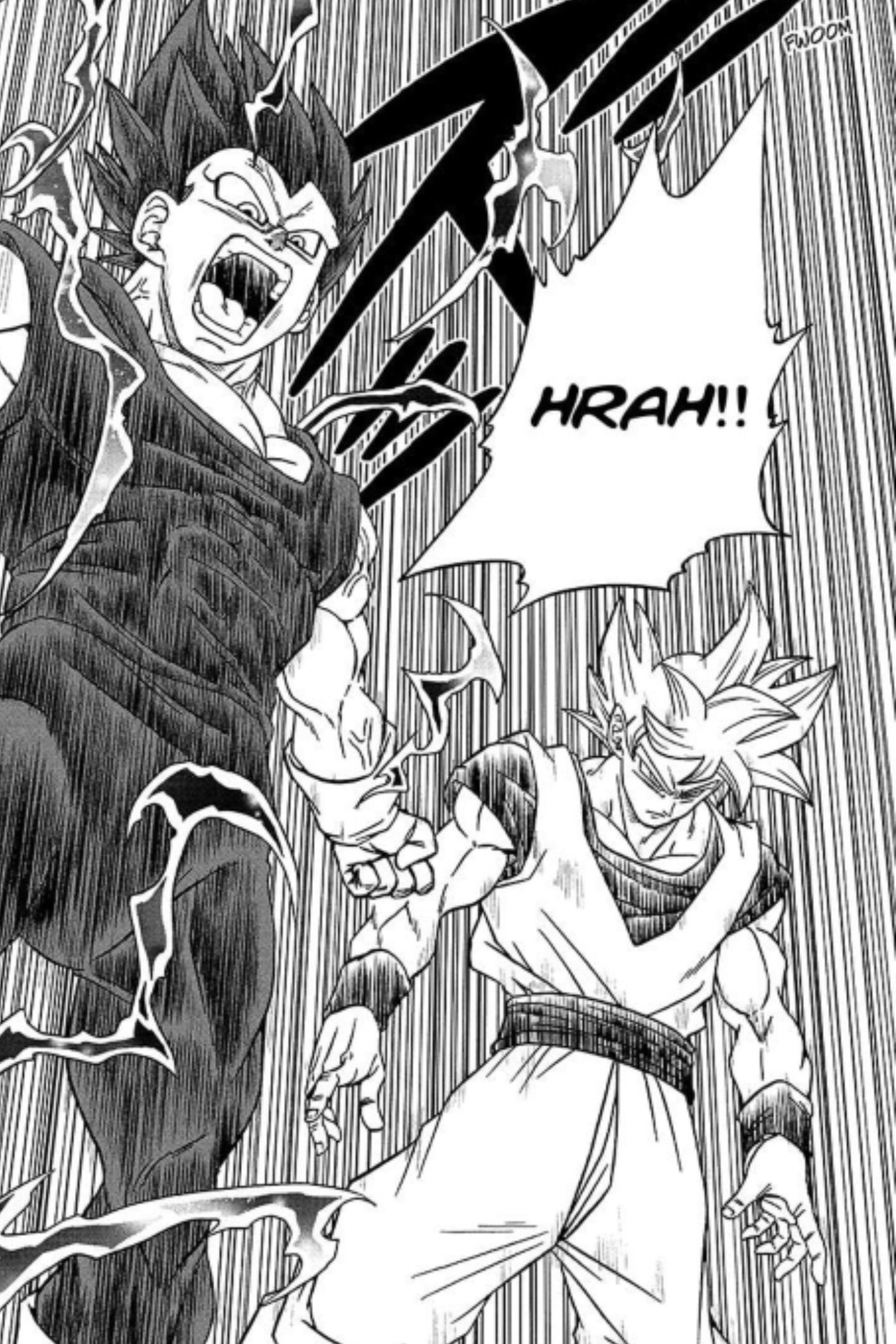 Ultra Instinct Goku et Ultra Ego Vegeta de Dragon Ball Super.