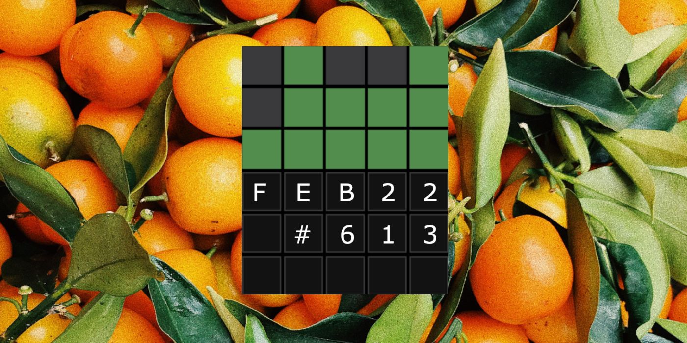 22nd February Wordle Grid with RIPE oranges in the background