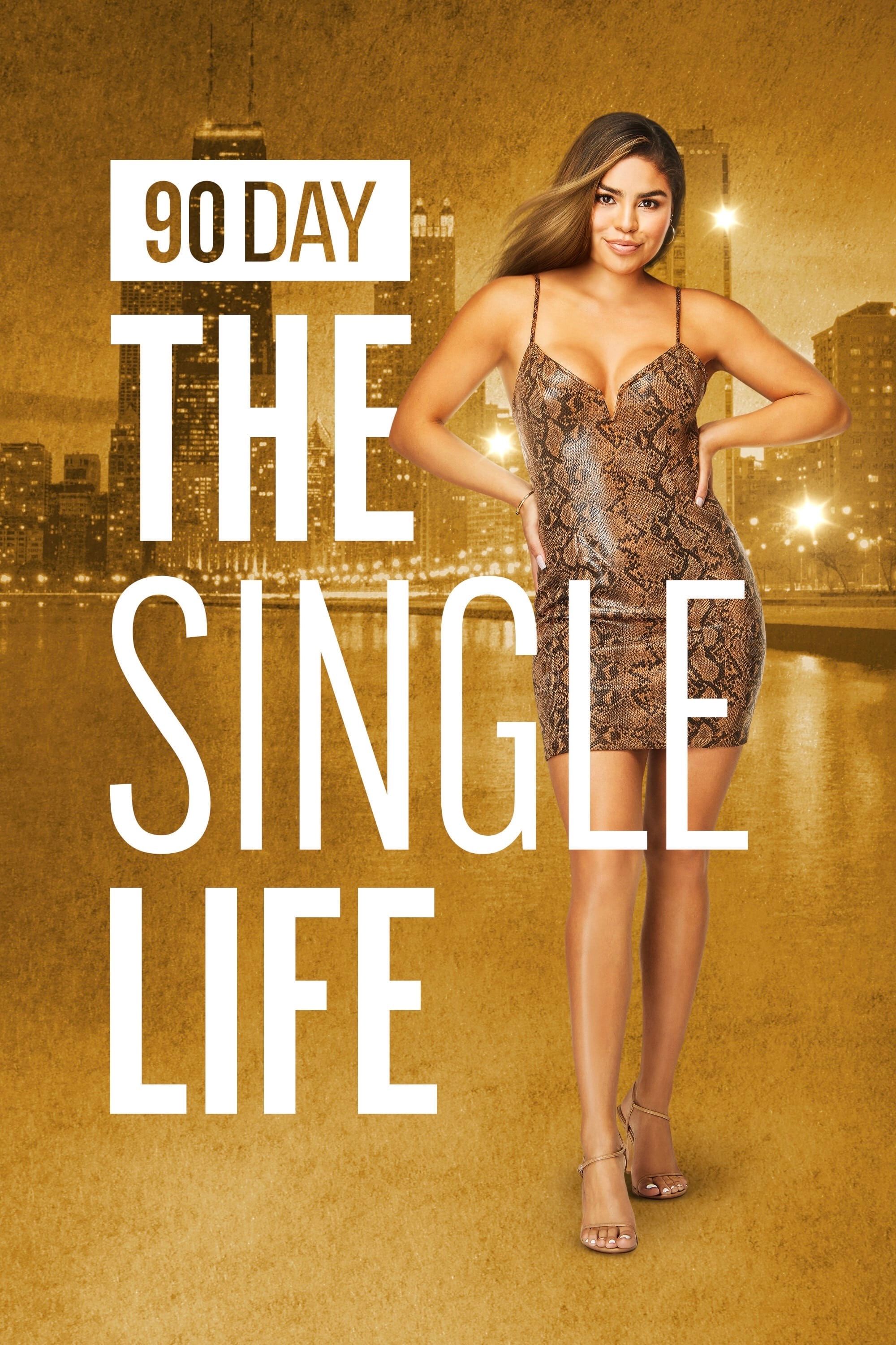 90 Day Fiance The Single Life Poster