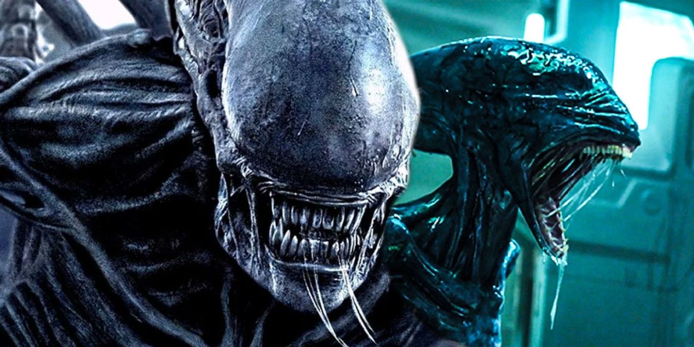 An image of an Alien's Xenomorph bearing its teeth