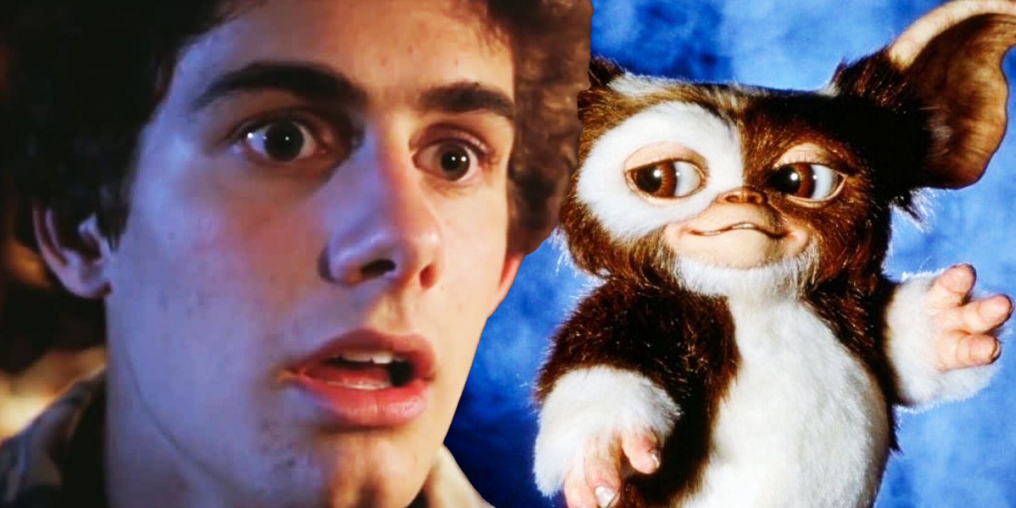 Billy Peltzer and Gizmo from Gremlins