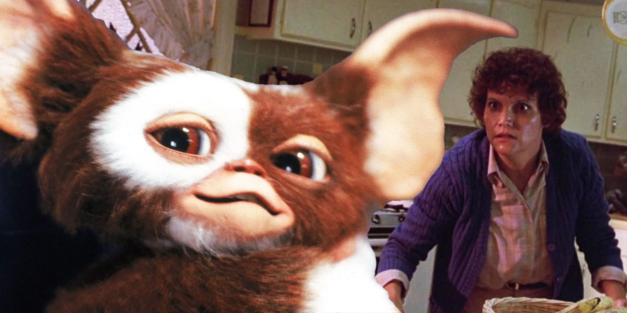Billy's mom and Gizmo in Gremlins