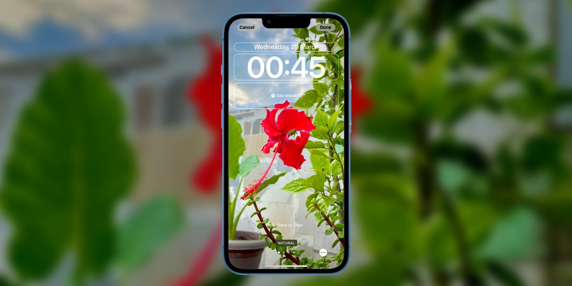 image of a red flower set as a lock screen wallpaper on an iPhone running iOS 16