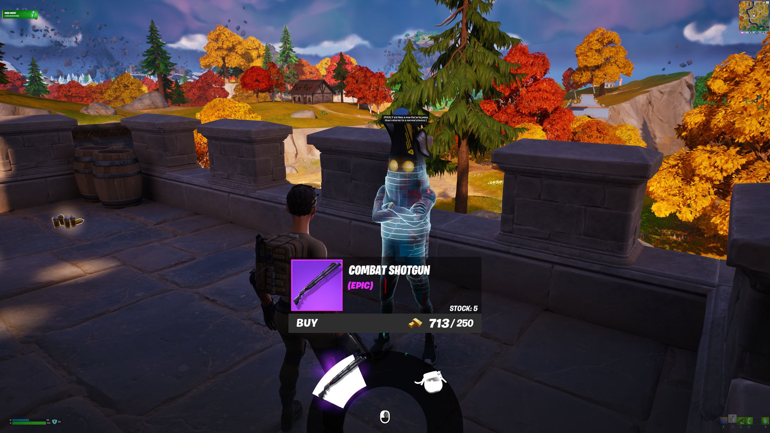 Fortnite Chapter 4 Season 2 Player Chatting With NPC 7 P33LY At Pleasant Passage